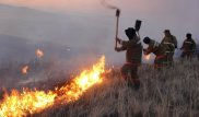 В Павлодарской области задержаны виновники степных пожаров