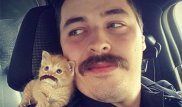 В США полицейский взял в напарники бездомного котенка