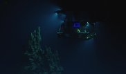 Ученые ведут онлайн-трансляцию с погружения в Марианскую впадину