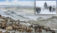 Так жили наши предки: Британец сделал невероятные снимки кочующих казахов