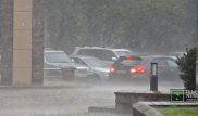 Погода в Алматы не перестает удивлять горожан