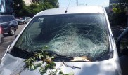 Водитель Peugeot пострадал при падении дерева на дорогу в центре Алматы
