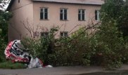 Ураган срывал крыши с домов и вырывал деревья в Талдыкоргане