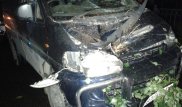 Упавшее дерево повредило два авто в Алматы