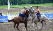 Фестиваль национальных видов спорта прошел в Алматы