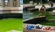 Зеленая вода в фонтане напугала талдыкорганцев