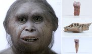Ученые нашли останки "хоббита", жившего 700 тысяч лет назад