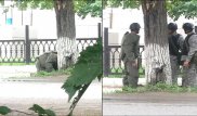 В бесхозной сумке в Усть-Каменогорске нашли предметы, похожие на компоненты взрывного устройства