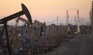 Цены на нефть показывают рост