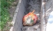 Полиция наказала алматинца за выброс мусора в арык после поста в Facebook