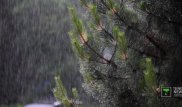Штормовое предупреждение из-за сильных дождей объявлено в Алматы