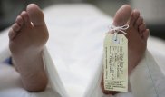 Ученые нашли "зомби-гены", оживающие через несколько дней после смерти