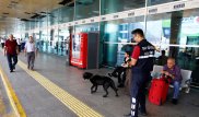 Число жертв теракта в Стамбуле увеличилось до 41 человека