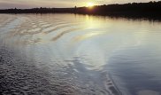Расчлененное тело пропавшего парня найдено в реке в Кокшетау