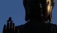 В Китае нашли кость Будды в золотом ларце