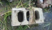 Пропавшую в СКО женщину нашли в реке с привязанными к ногам шлакоблоками