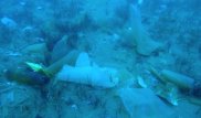 Водолазы сняли на видео шокирующее дно озера Иссык-Куль