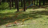 Дети сбежали из оздоровительного лагеря в Костанайской области