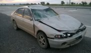 Автомобиль насмерть сбил лошадь на трассе Алматы-Талдыкорган