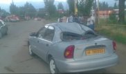 В Алматы дерево упало на авто, в котором находились женщина и ребенок