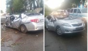 Дерево рухнуло на движущийся автомобиль на трассе Алматы - Талгар