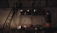 Фильм "Чума в ауле Каратас" представят на фестивале в Париже