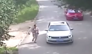 Видео смертельного нападения тигра на посетительницу китайского парка опубликовали СМИ