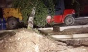 Упавшие во время дождя в Алматы деревья повредили 2 авто и погрузчик