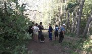 Спасатели нашли 4 потерявшихся подростков на Кок-Жайляу в Алматы