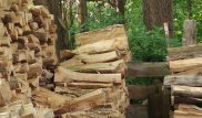 Новая интернет-загадка: Пользователи пытаются найти кота среди поленьев