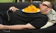 Лень является признаком высокого интеллекта - ученые