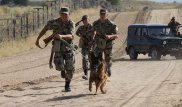 800 кустов со "специфическим запахом" обнаружили пограничники в Кызылординской области