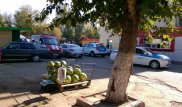 Полицейские ведут переговоры с грабителем, заблокированным в ломбарде Астаны вместе с 2 сотрудниками