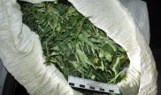 Житель Жамбылской области хранил марихуану тоннами