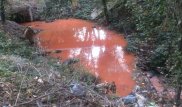Специалисты исследуют воду из алматинской речки, окрасившейся в красный цвет