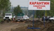 Режим ЧС из-за вспышки сибирской язвы объявлен в Карагандинской области