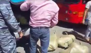 На автовокзале Кызылорды из полицейской машины выгружали арбузы