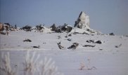 Родные погибших в авикатастрофе под Шымкентом пограничников выиграли суд у КНБ