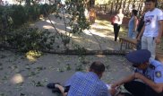 На студентку КазНУ упало дерево: Пострадавшая в тяжелом состоянии