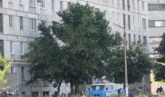 Арестован мужчина, из-за звонка которого в Рудном эвакуировали многоэтажку