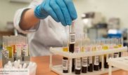 В WADA признали выложенные хакерами документы о допинг-пробах подлинными