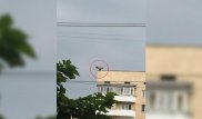 Грифа, всполошившего алматинцев, поймали и доставили в питомник
