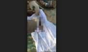 Страшную находку сделали во дворе многоэтажного дома в Шымкенте