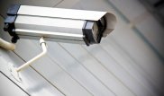 После смерти жирафа в зоопарке Алматы установят дополнительные видеокамеры