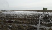 В Карагандинской области 10 дней бьет фонтан из-под земли