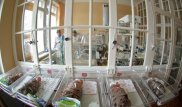Алматинец требует возобновить расследование смерти его ребенка в роддоме