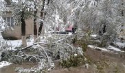 В Таразе коммунальщики второй день ликвидируют последствия  снегопада