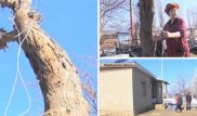В Жамбылской области осужден насильник и убийца второклассника