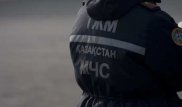 В Экибастузе спасатель насмерть сбил женщину