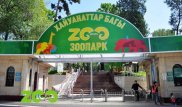 Зоопарк Алматы обновил список животных, которые находятся на грани смерти